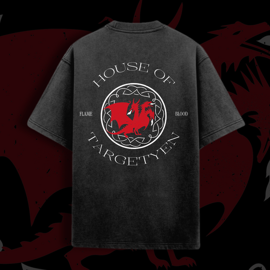 Dragon House Oversized T-shirt